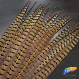 18-20" Natural Ringneck Pheasant Tails