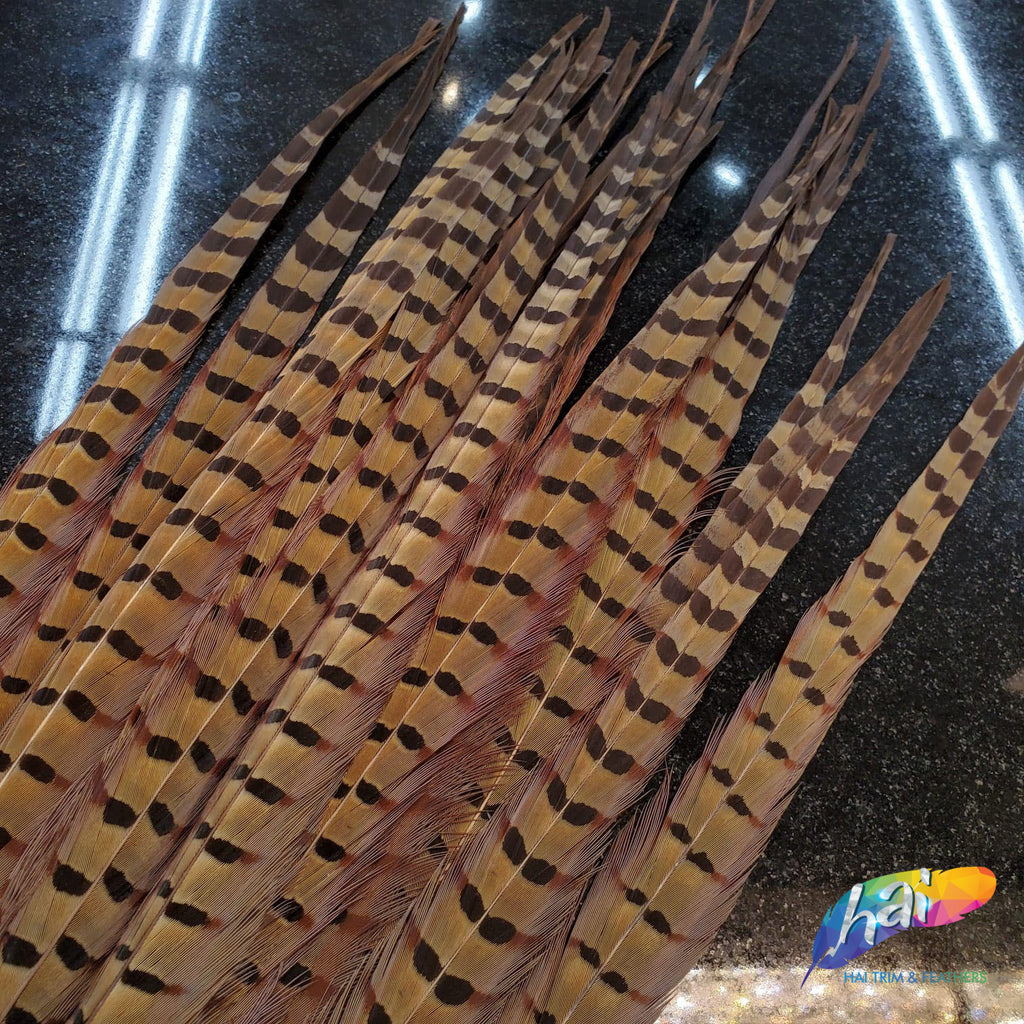 50pcs/lot!12-1430-35cm Dyed Perfect Ringneck Pheasant Tail