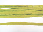 18-20" Bleached Dyed Ringneck Pheasant Tails