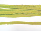 18-20" Bleached Dyed Ringneck Pheasant Tails