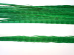 18-20" Bleached Dyed Ringneck Pheasant Tails