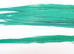 18-20" Bleached Dyed Ringneck Pheasant Tails