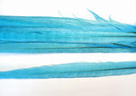 18-20" Bleached Dyed Ringneck Pheasant Tails