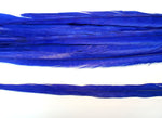 18-20" Bleached Dyed Ringneck Pheasant Tails