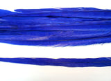 18-20" Bleached Dyed Ringneck Pheasant Tails
