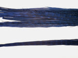 18-20" Bleached Dyed Ringneck Pheasant Tails