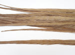 18-20" Bleached Dyed Ringneck Pheasant Tails
