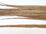 18-20" Bleached Dyed Ringneck Pheasant Tails