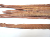 18-20" Bleached Dyed Ringneck Pheasant Tails