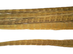 18-20" Bleached Dyed Ringneck Pheasant Tails