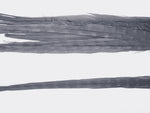 18-20" Bleached Dyed Ringneck Pheasant Tails