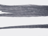 18-20" Bleached Dyed Ringneck Pheasant Tails
