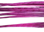 18-20" Bleached Dyed Ringneck Pheasant Tails