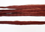 18-20" Bleached Dyed Ringneck Pheasant Tails