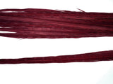 18-20" Bleached Dyed Ringneck Pheasant Tails