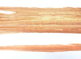 18-20" Bleached Dyed Ringneck Pheasant Tails