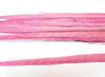 18-20" Bleached Dyed Ringneck Pheasant Tails