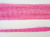 18-20" Bleached Dyed Ringneck Pheasant Tails