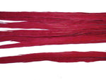 18-20" Bleached Dyed Ringneck Pheasant Tails