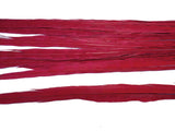 18-20" Bleached Dyed Ringneck Pheasant Tails