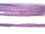 18-20" Bleached Dyed Ringneck Pheasant Tails
