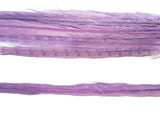 18-20" Bleached Dyed Ringneck Pheasant Tails