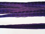 18-20" Bleached Dyed Ringneck Pheasant Tails
