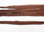 18-20" Bleached Dyed Ringneck Pheasant Tails