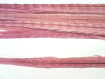 18-20" Bleached Dyed Ringneck Pheasant Tails