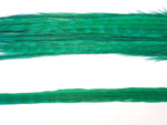 18-20" Bleached Dyed Ringneck Pheasant Tails