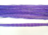 18-20" Bleached Dyed Ringneck Pheasant Tails