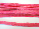 18-20" Bleached Dyed Ringneck Pheasant Tails