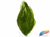 Hackle Feather Pads, FP-001