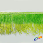 4-6" 2-tone Ostrich Fringe (1-ply)