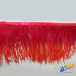 4-6" 2-tone Ostrich Fringe (1-ply)