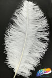 18-22" Ostrich Plumes