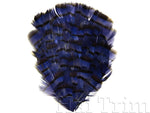 Natural Dyed Lady Amherst Pheasant Feather Pads, FP-004
