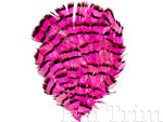 Natural Dyed Lady Amherst Pheasant Feather Pads, FP-004