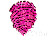 Natural Dyed Lady Amherst Pheasant Feather Pads, FP-004