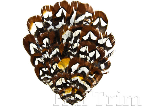 Natural Reeves Pheasant Feather Pads, FP-007