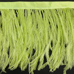 4-6" Ostrich Fringe (1-ply)