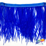 4-6" Ostrich Fringe (1-ply)