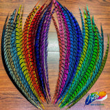30-35” Natural Dyed Zebra Pheasant Tails