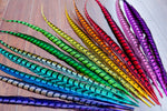 30-35" Natural Dyed Lady Amherst Pheasant Tails