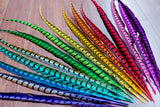 30-35" Natural Dyed Lady Amherst Pheasant Tails