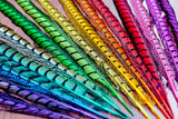 30-35" Natural Dyed Lady Amherst Pheasant Tails