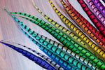 30-35" Natural Dyed Lady Amherst Pheasant Tails