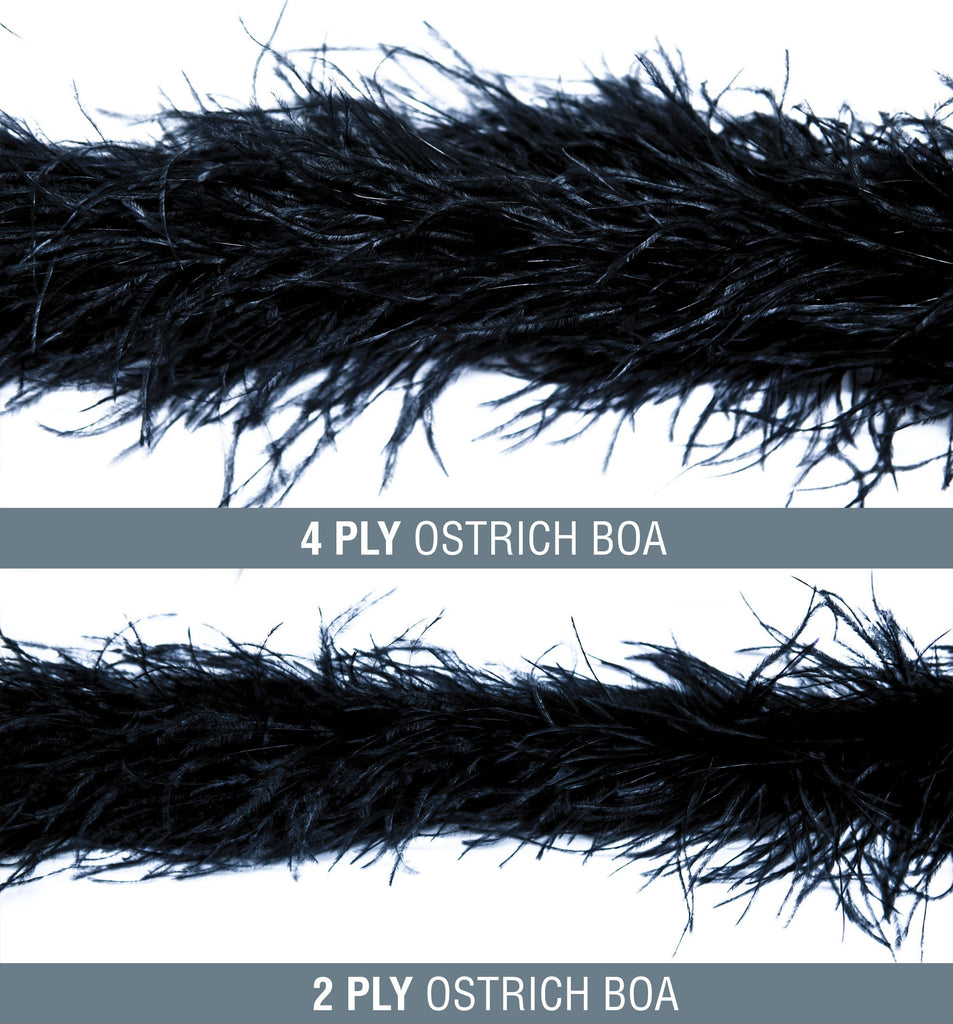 Black Ostrich Feather Trim 2 PLY