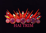 Spike Resin Stone Motif Applique, NAS-028