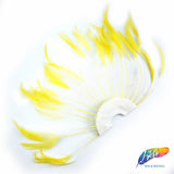 Stripped Hackle Half Pinwheel Feather Pads